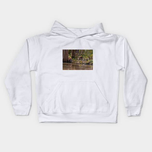 Raccoons on the Louisiana Bayou Kids Hoodie by SafariByMarisa